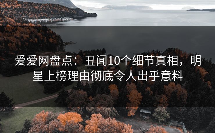 爱爱网盘点：丑闻10个细节真相，明星上榜理由彻底令人出乎意料