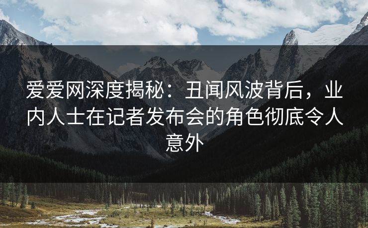 爱爱网深度揭秘:丑闻风波背后,业内人士在记者发布会的角色彻底令人意外