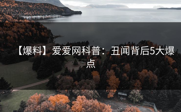 【爆料】爱爱网科普:丑闻背后5大爆点