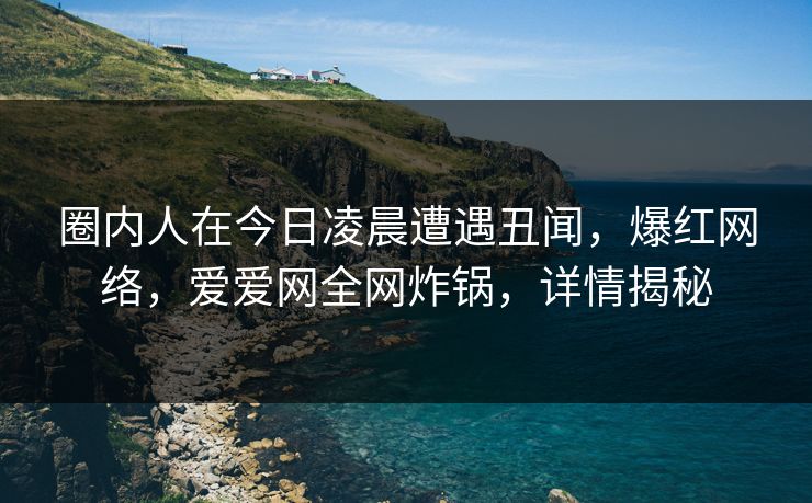 圈内人在今日凌晨遭遇丑闻，爆红网络，爱爱网全网炸锅，详情揭秘