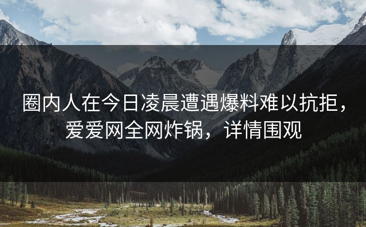 圈内人在今日凌晨遭遇爆料难以抗拒,爱爱网全网炸锅,详情围观